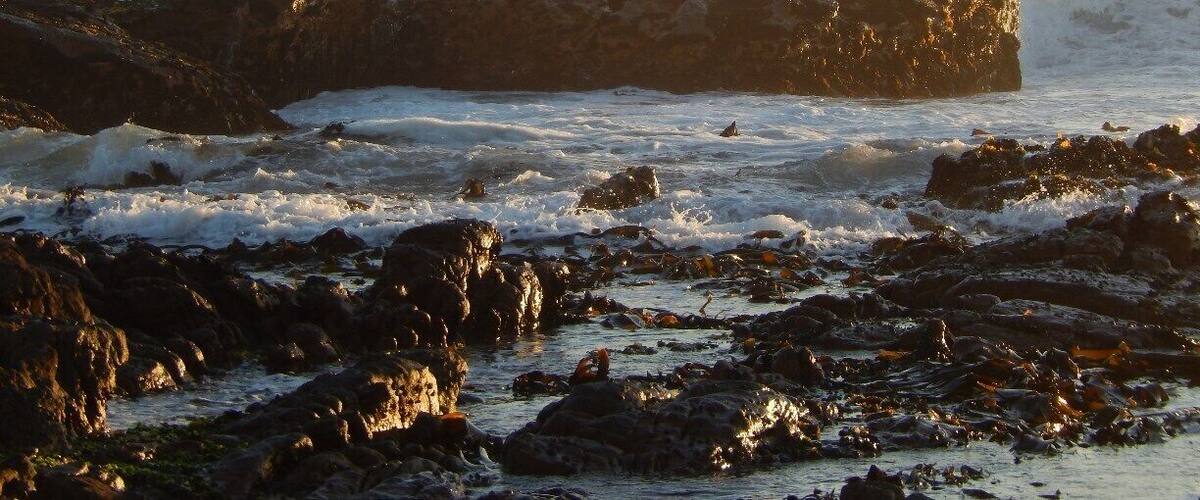 A rocky shoreline with waves crashing against the rocks.