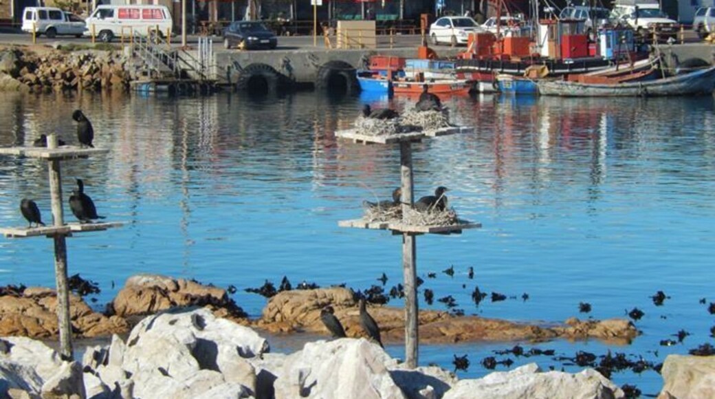 Wharf ,Lambert's Bay.Isabella's café here is the best!