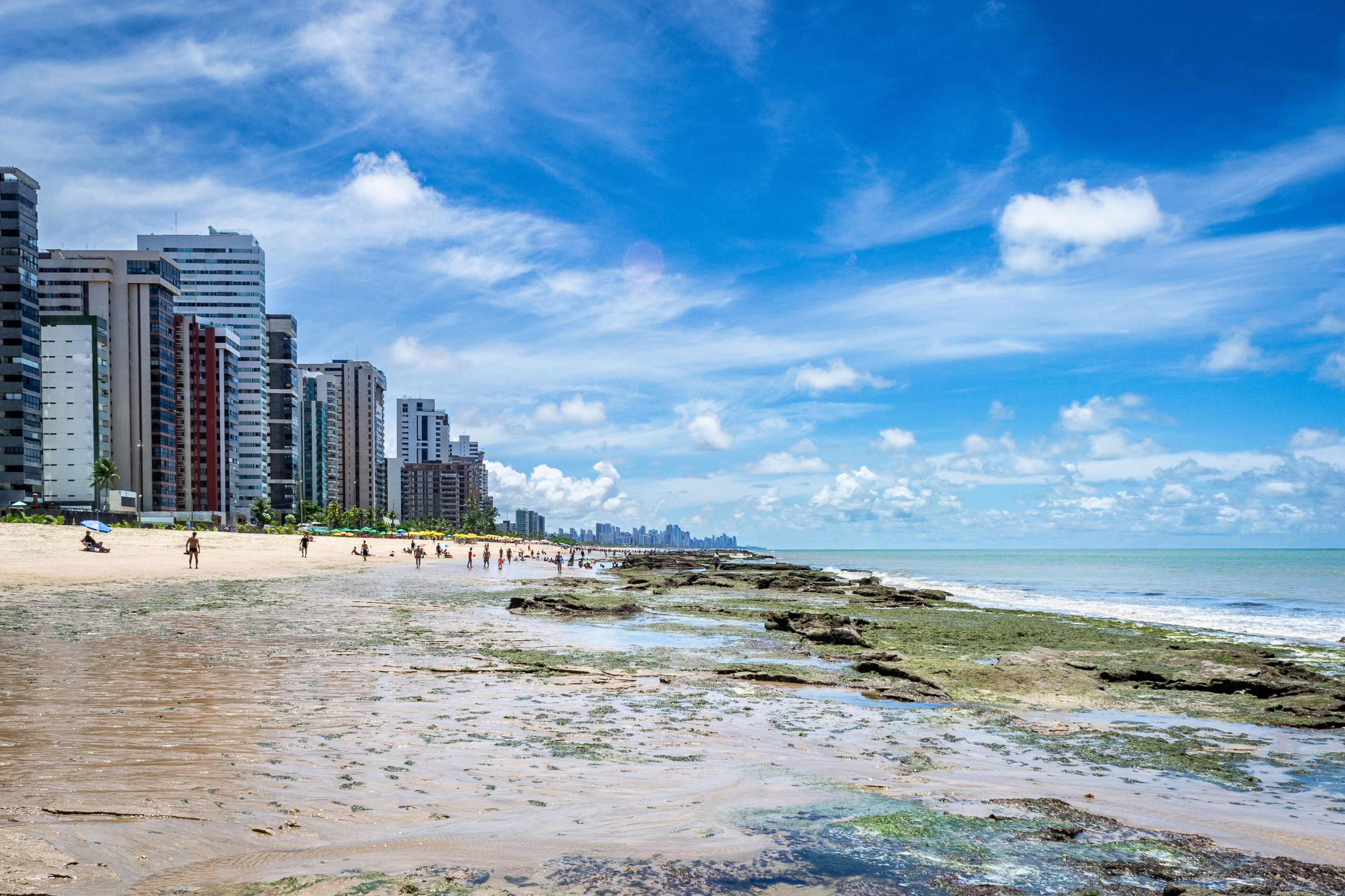 جابواتاو دوس جوارارابيس