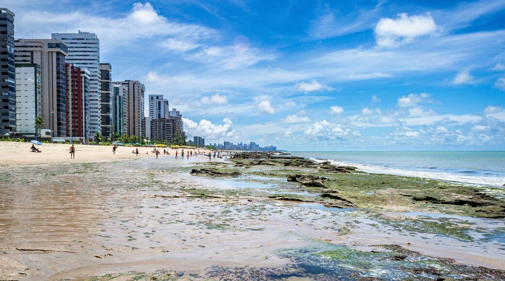 جابواتاو دوس جوارارابيس