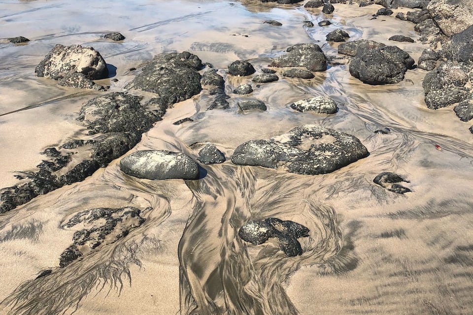 Ein felsiger Strand mit Gezeitentümpeln und Seetang.