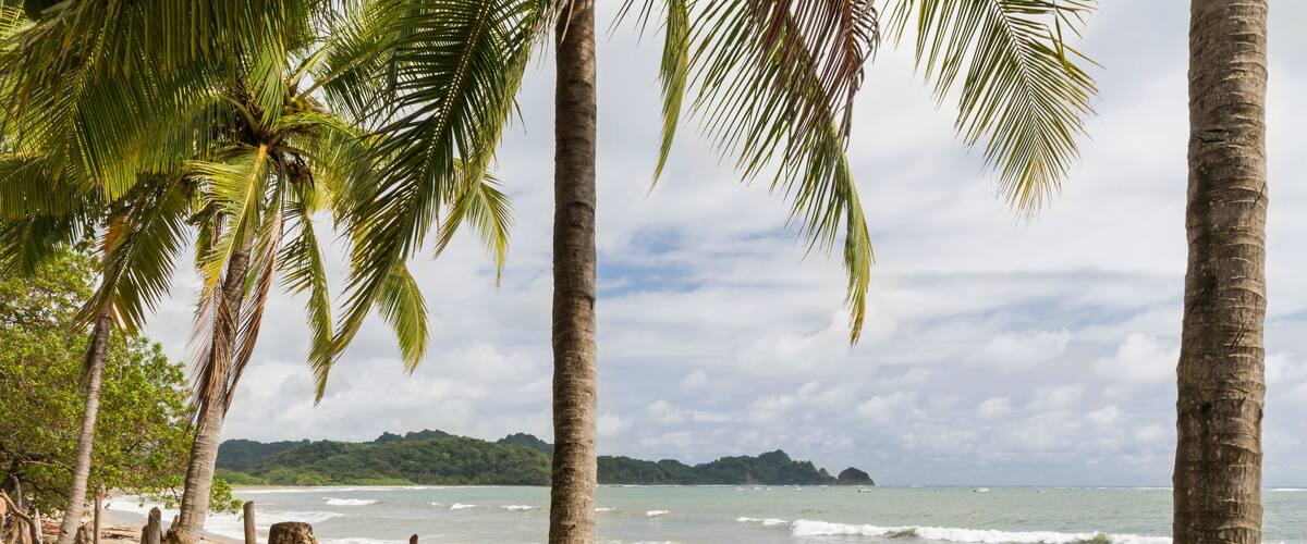 A sandy beach with palm trees and ocean waves.