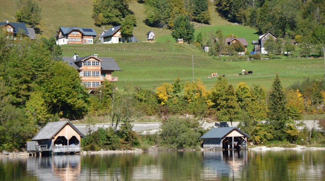 We stayed on Grundlsee, a lake just outside of the town of Bad Ausee, and took the 3-Seen-Tour. The tour is a boat and walking tour of three of the lakes in the district (http://www.schifffahrt-grundlsee.at/die-drei-seen-tour/). I would definitely recommend the tour! It takes you to the Toplitzsee lake which is only accessible on foot. There is a restaurant there that serves fresh fish from the lake.
For more information: https://thelifediscovered.wordpress.com/2016/05/02/the-happy-place/