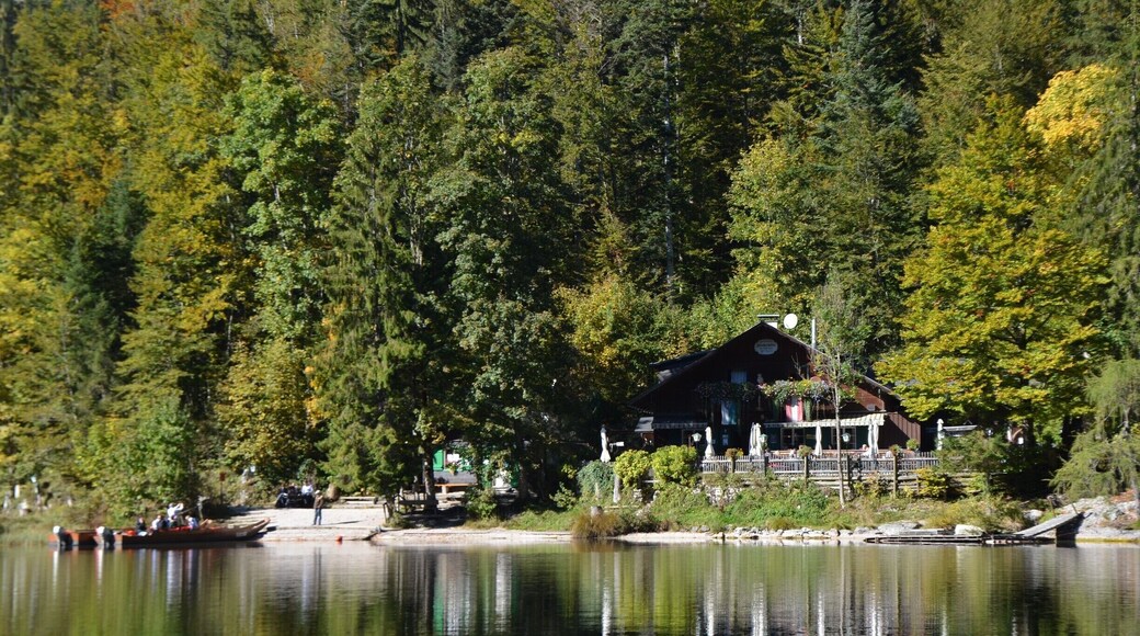 Toplitzsee, a beautiful lake only accessible by foot. This restaurant is the only thing in the area and serves fresh fish from the lake. We were staying on Grundlsee, a lake just outside of the town of Bad Ausee, and took the 3-Seen-Tour. The tour is a boat and walking tour of three of the lakes in the district (http://www.schifffahrt-grundlsee.at/die-drei-seen-tour/). I would definitely recommend the tour!
For more information: https://thelifediscovered.wordpress.com/2016/05/02/the-happy-place/