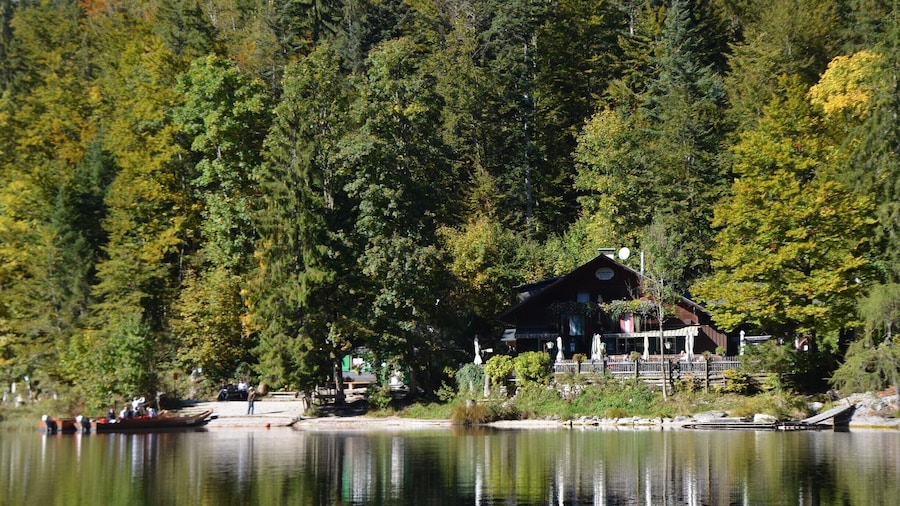 Toplitzsee, a beautiful lake only accessible by foot. This restaurant is the only thing in the area and serves fresh fish from the lake. We were staying on Grundlsee, a lake just outside of the town of Bad Ausee, and took the 3-Seen-Tour. The tour is a boat and walking tour of three of the lakes in the district