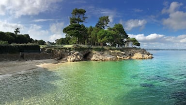 sur la cĂŽte de Beg Meil Ă Bot Conan Fouesnant en FinistĂšre Bretagne France
