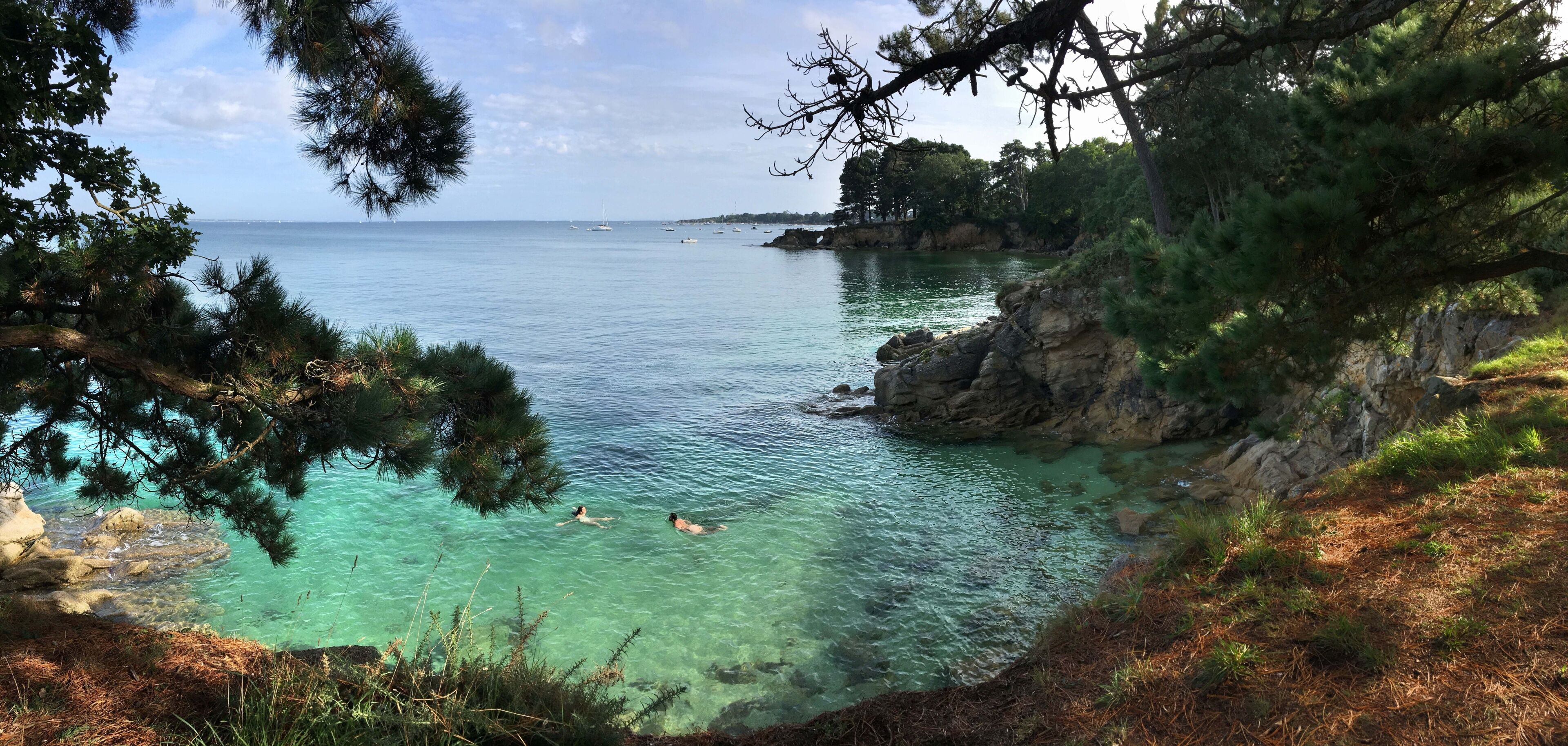 sur la côte de Beg Meil à Bot Conan Fouesnant en Finistère Bretagne France	