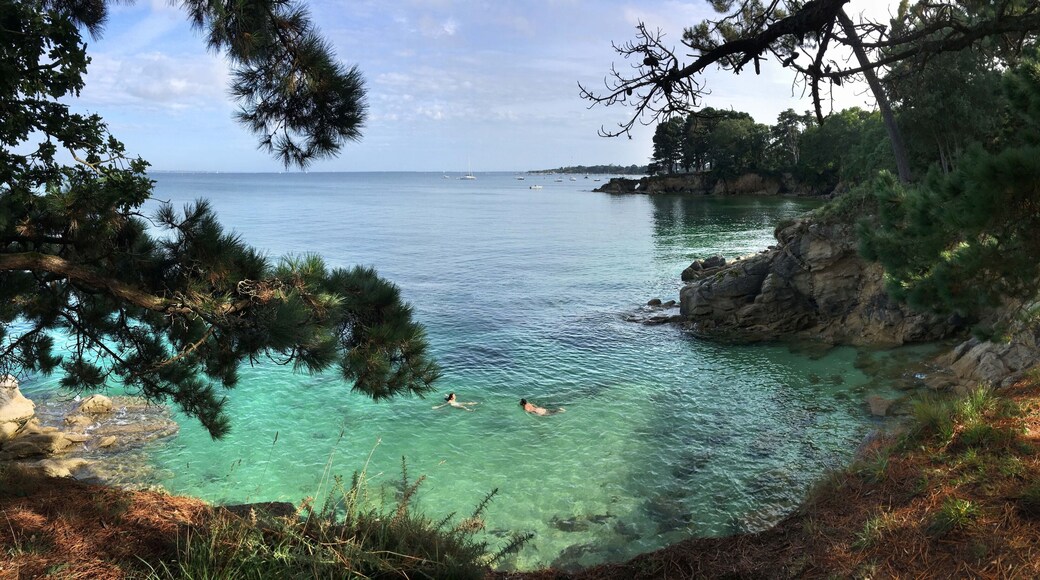 sur la côte de Beg Meil à Bot Conan Fouesnant en Finistère Bretagne France
