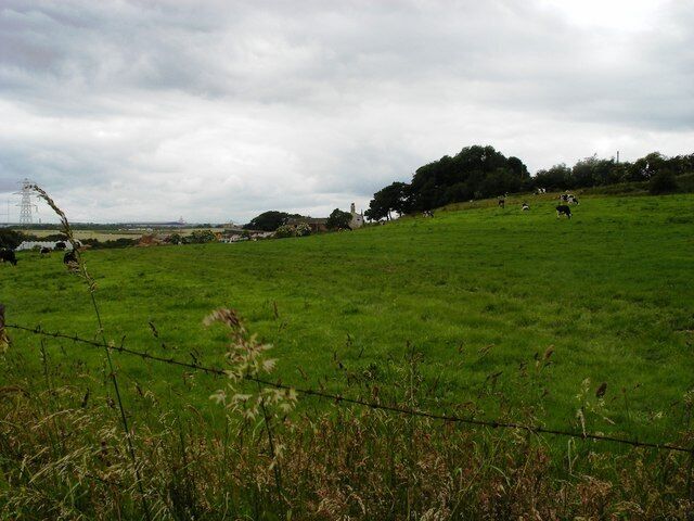 Field by Thorpe Lane The farm buildings on the slope belong to Sissons Farm, just in the next grid square.
