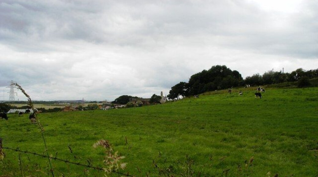 Field by Thorpe Lane The farm buildings on the slope belong to Sissons Farm, just in the next grid square.