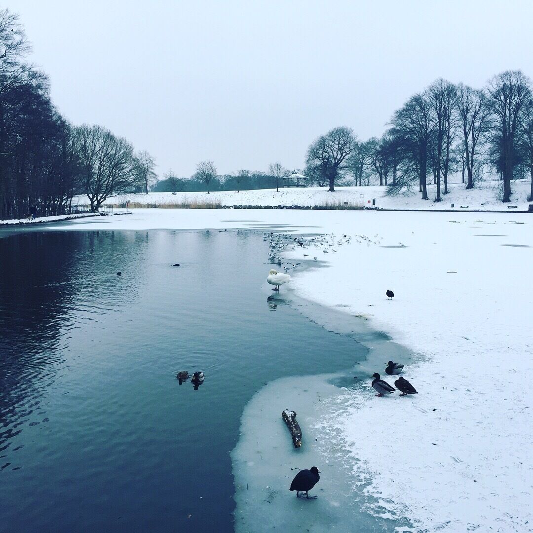 Beautiful winters day in Roundhay Park ❄️❤️