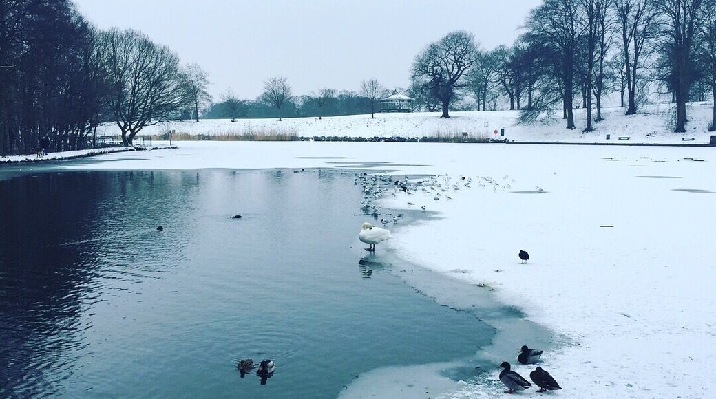 Beautiful winters day in Roundhay Park ❄️❤️