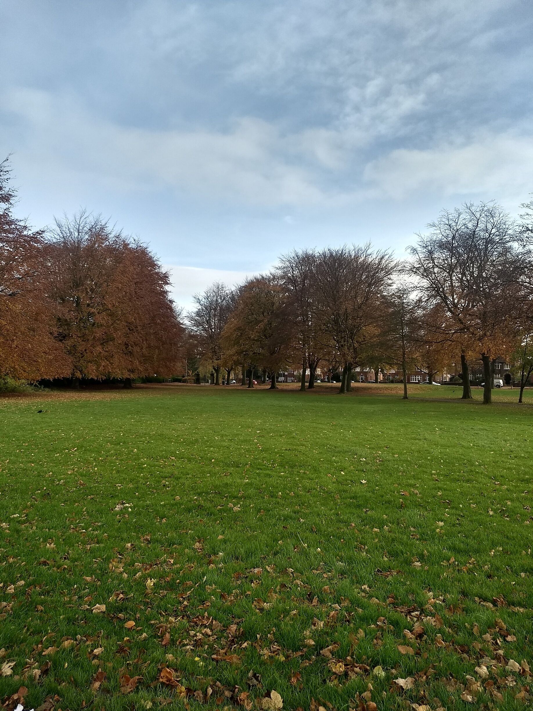 Random shots of Beckett Park

#parks