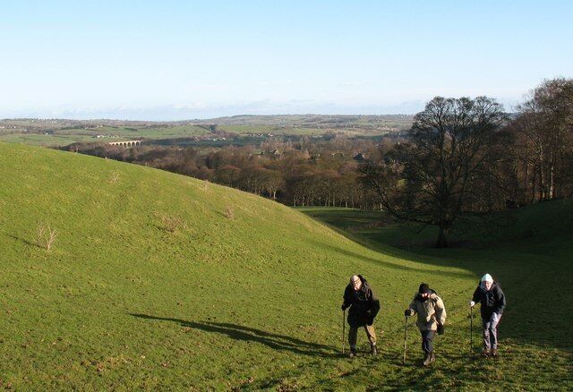 Footpath at Broom Bank Looking down a gentle valley only a hundred metres or so from the Leeds - Harrogate railway [hidden to right]. Arthington viaduct can be seen in the distance.