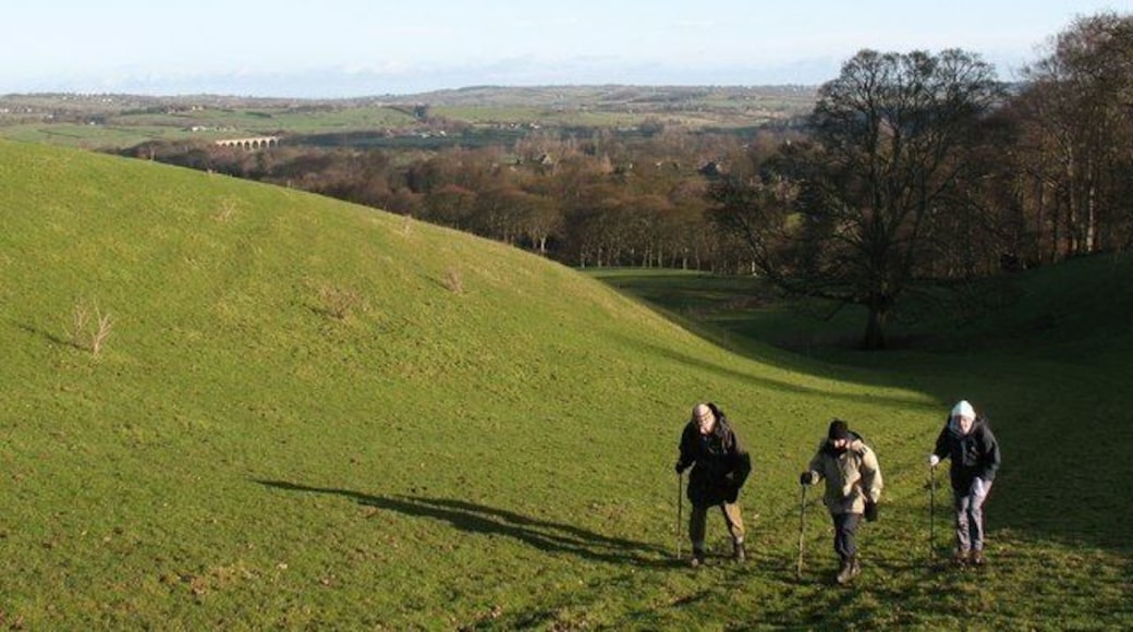 แบรมโฮป