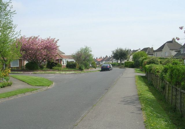 Tredgold Avenue - Bramhope
