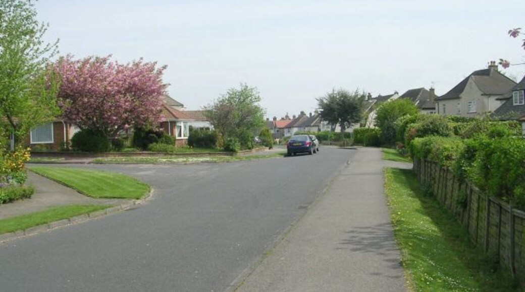 Tredgold Avenue - Bramhope