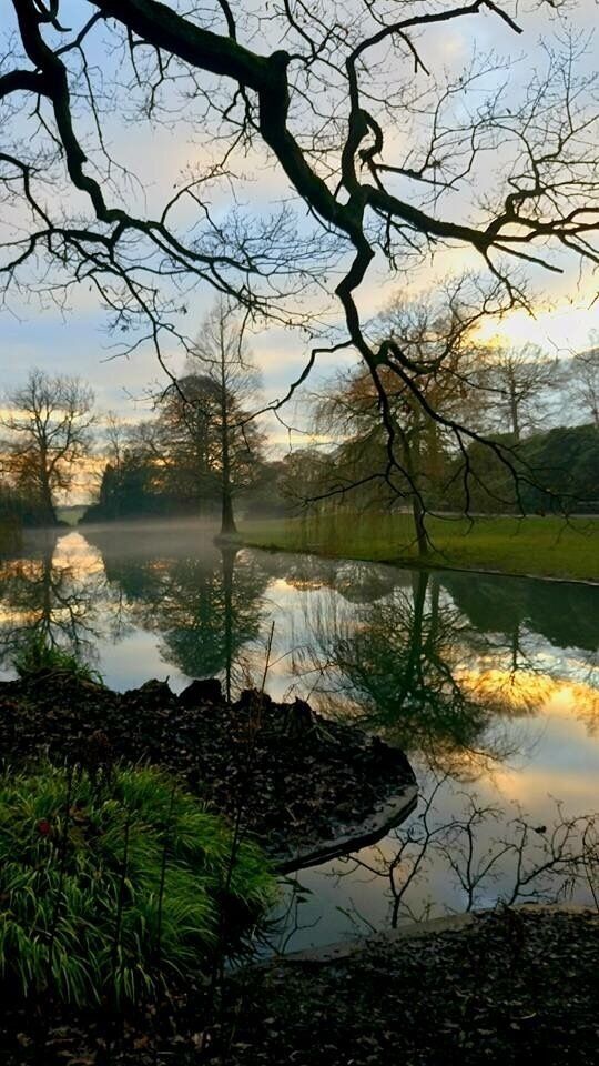 A bit of mist makes this place all the more picturesque. My number 1 place to take a stroll, no matter the weather. So many different trails- always discover somewhere new