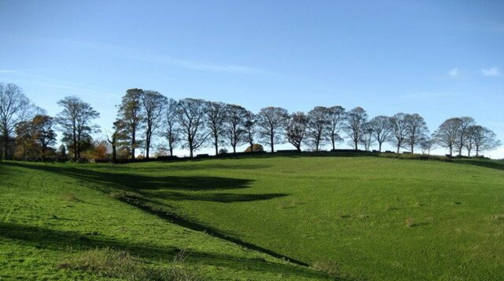 Footpath towards Staircase Lane The path climbs up a field above the woods that conceal the north entrance to Arthington Tunnel.