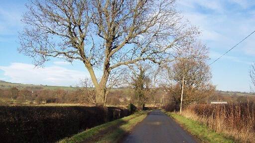Woodgate Lane, Weeton. Looking north.