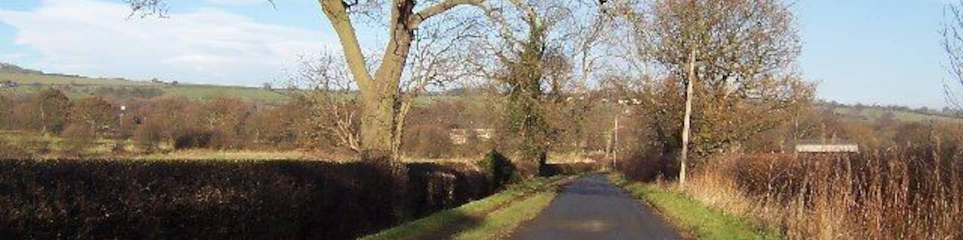A narrow rural road flanked by trees and hedgerows, leading towards a distant village.