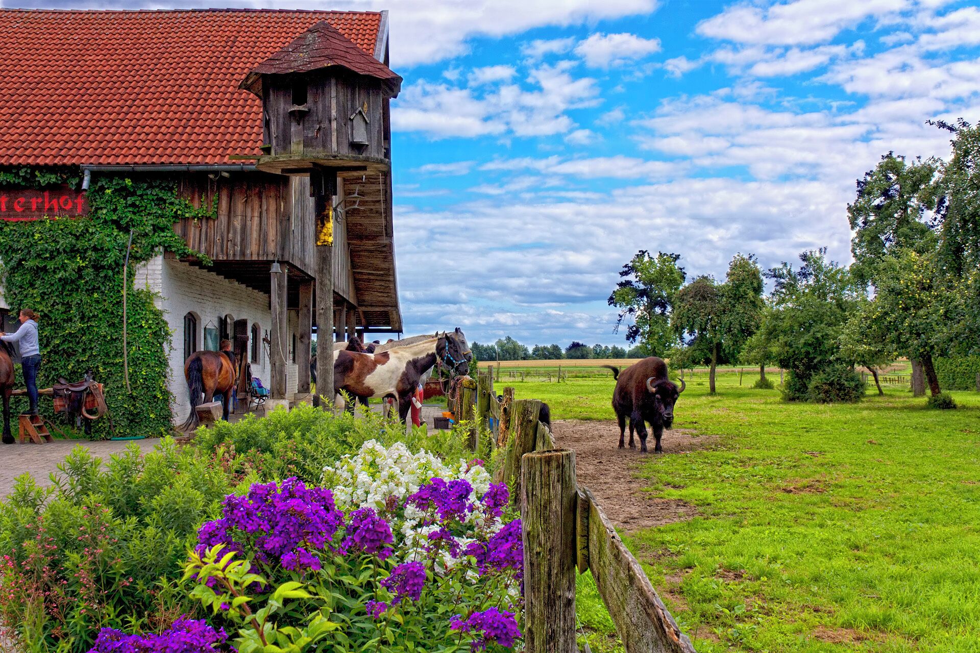Feldreiterhof in Molkenberg bei Fürstenwalde - Germany
