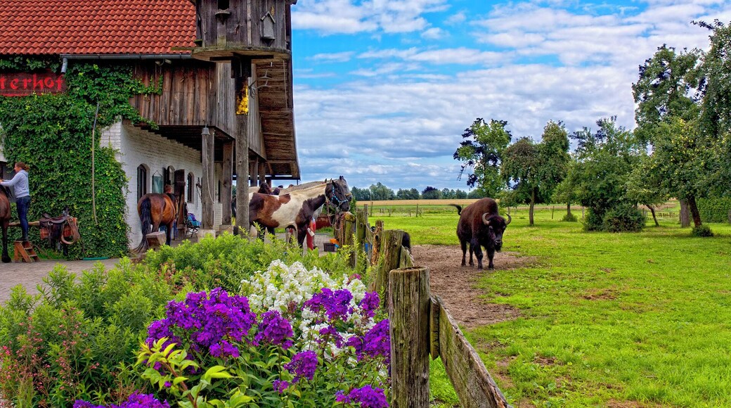 Feldreiterhof in Molkenberg bei Fürstenwalde - Germany