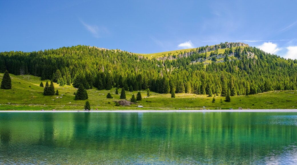 Folgaria