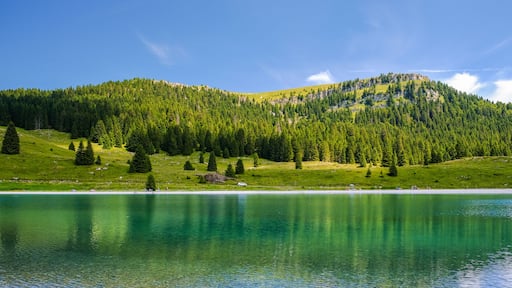 Folgaria