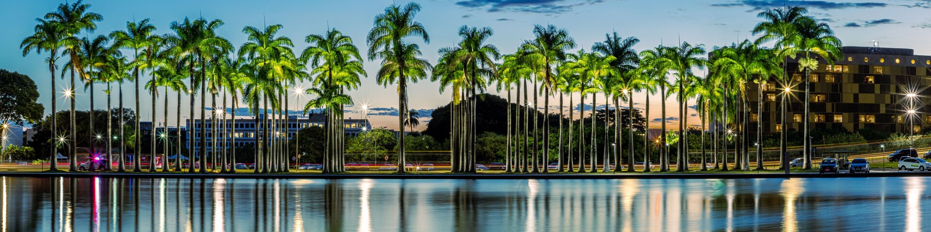 A calm water body reflecting palm trees and a building with illuminated windows.