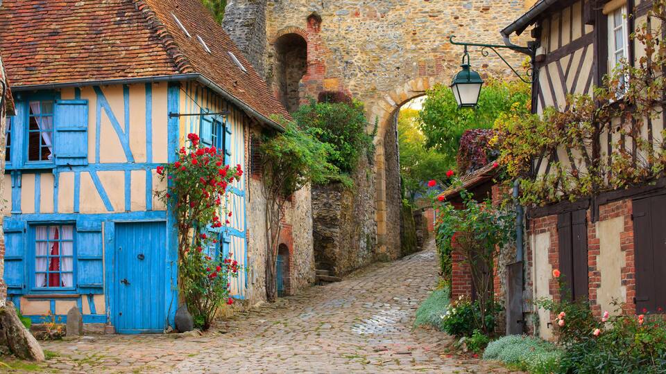 A cobblestone street flanked by half-timbered houses with blue shutters and red flowers.