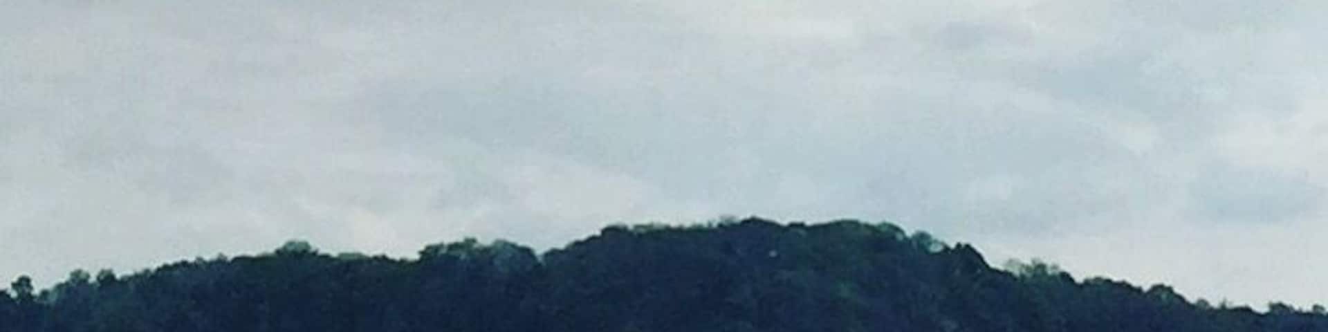 Super spot for sea foods if you are not afraid by green algies and sea mud... #beachbound