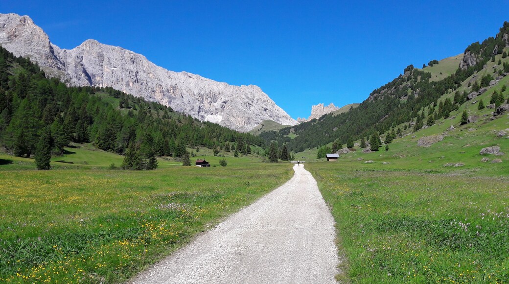 Val Duron (Q49967532)