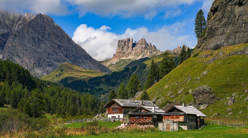 Een berglandschap met een houten huis, groene velden en rotsachtige toppen.