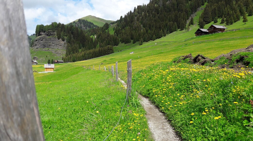 Val Duron (Q49967532)