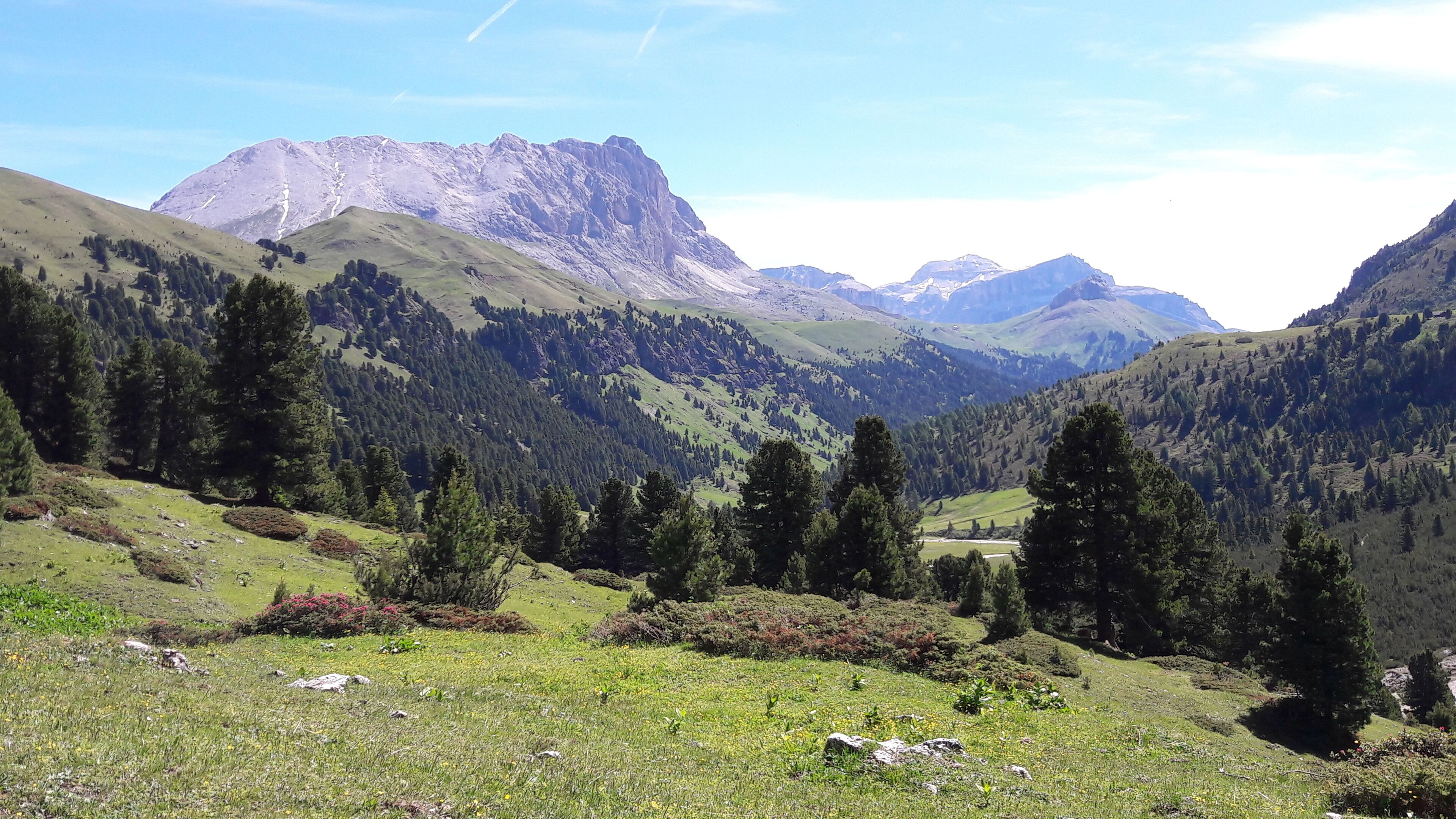 Val Duron (Q49967532)