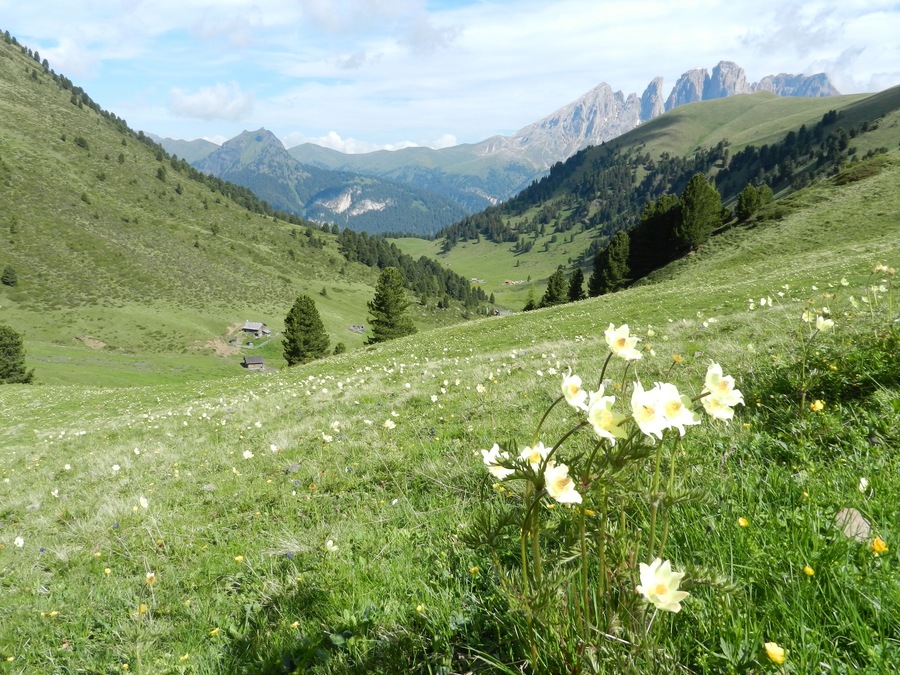 Val de Grelba
