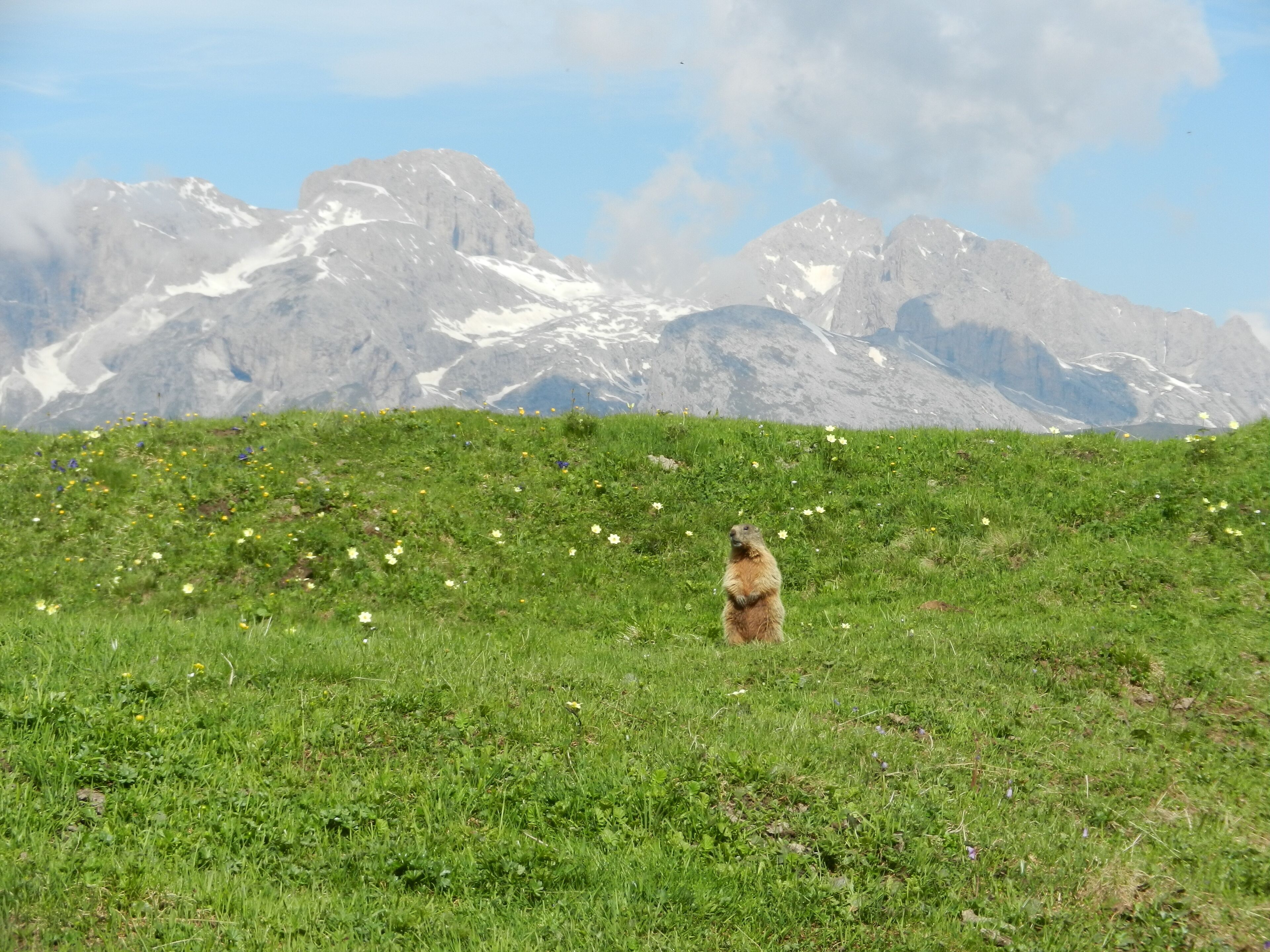 a guardia del Catinaccio