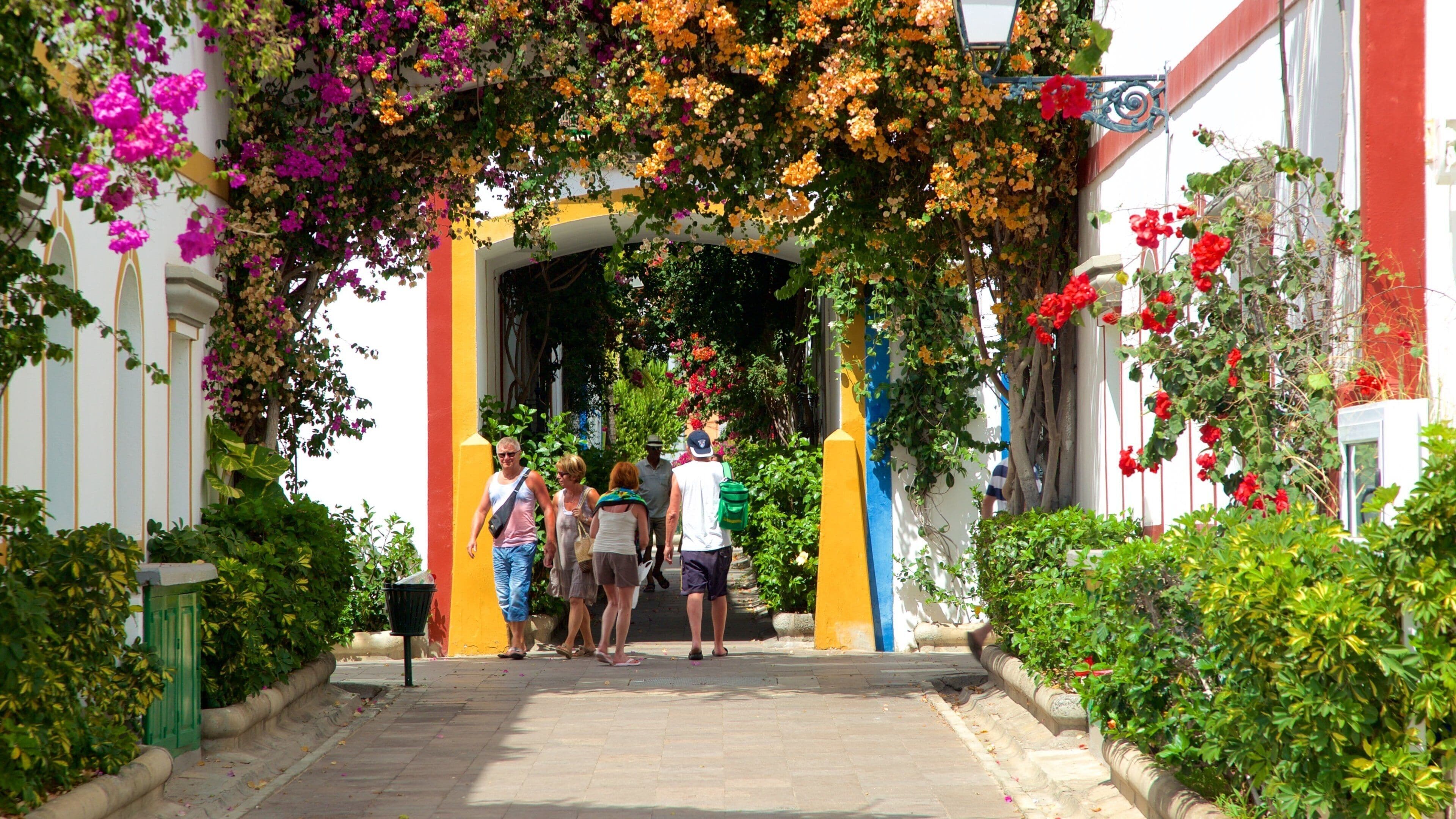 Mogan og byder på en have og blomster