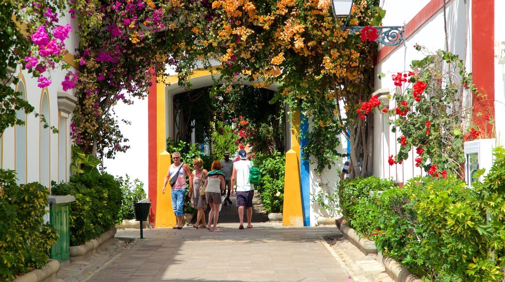 Mogan og byder på en have og blomster