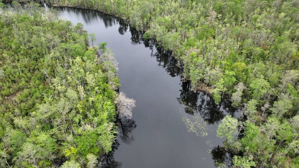 A river winding through a dense forest.
