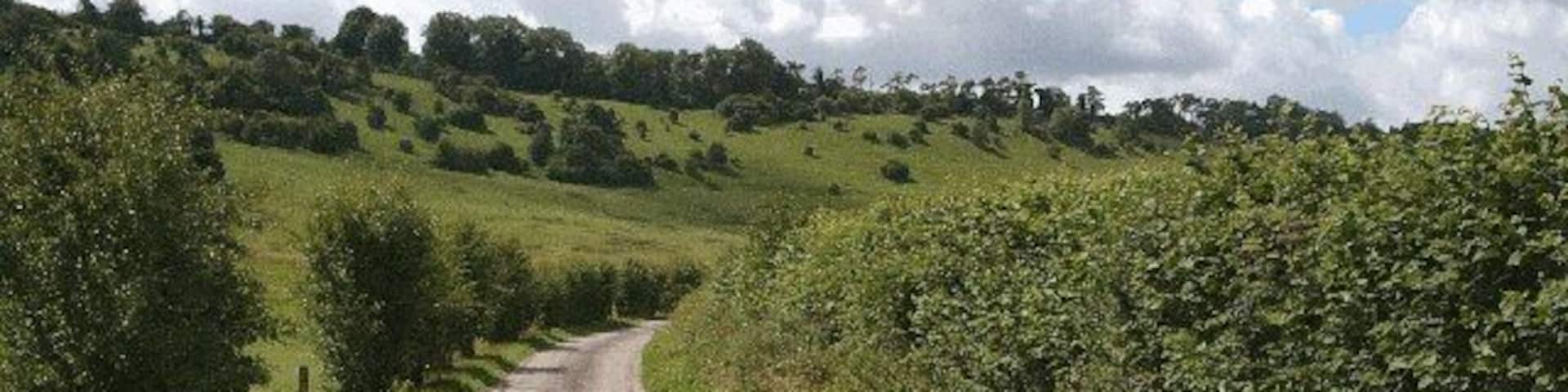 Conholt Bottom. Harness Driving below Conholt Hill, up and to the left.