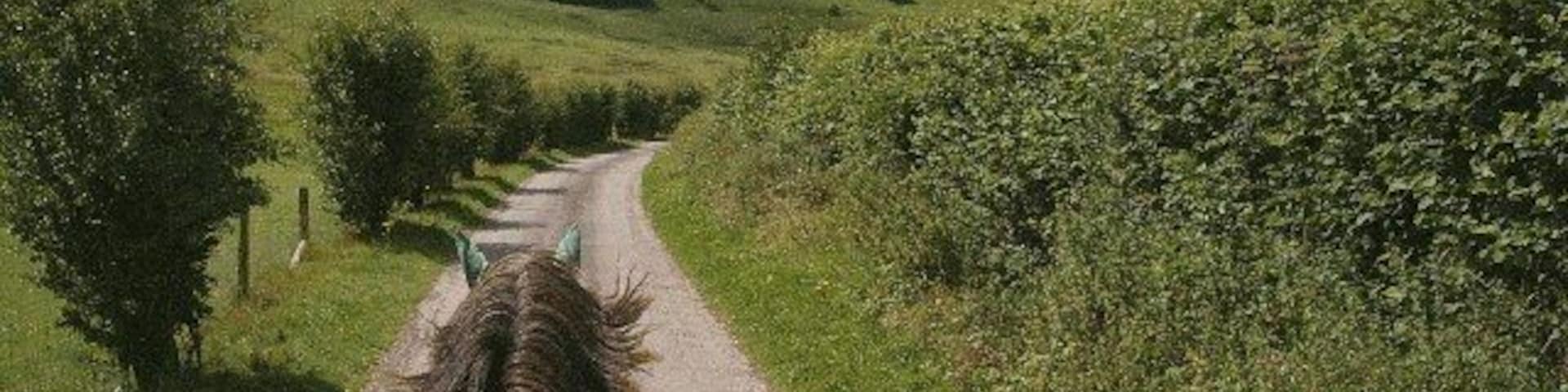 Conholt Bottom. Harness Driving below Conholt Hill, up and to the left.