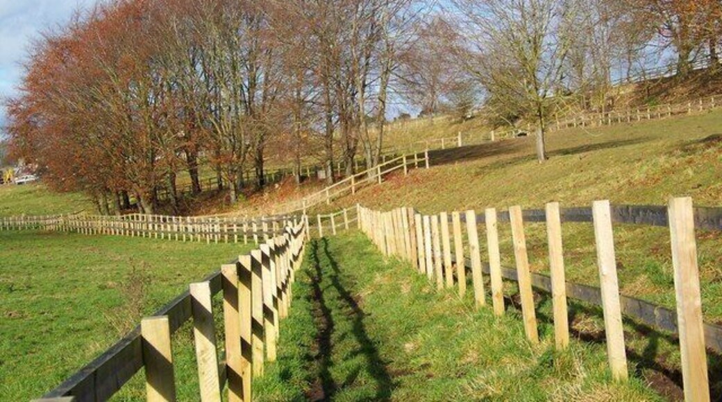 Footpath, Hurstbourne Tarrant The footpath runs behind the villages houses and is part of the Test Way.