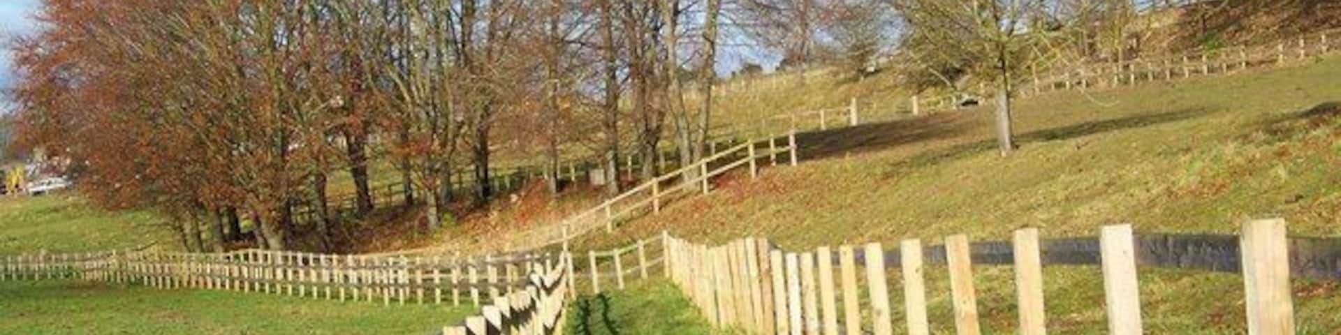 Footpath, Hurstbourne Tarrant The footpath runs behind the villages houses and is part of the Test Way.