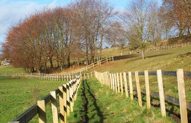 A wooden fence along a grassy slope with trees in the background.