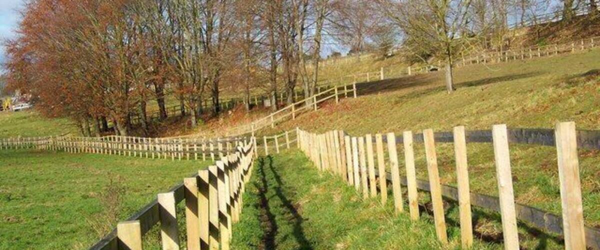 A wooden fence along a grassy slope with trees in the background.