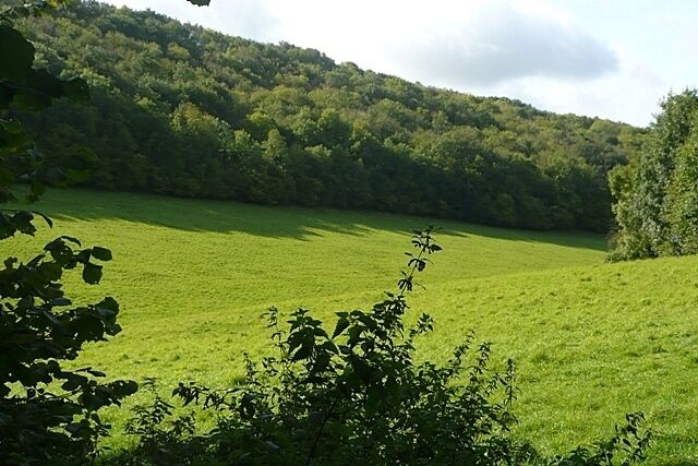 Well Bottom Looking west along a dry valley between belts of woodland.
