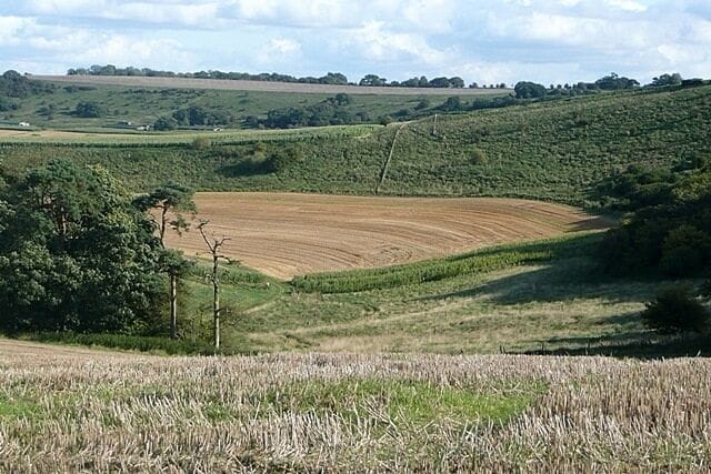 Hippenscombe Bottom The dry valley runs for a couple of miles in a bowl like this, with arable fields lining the sides and woodland above.