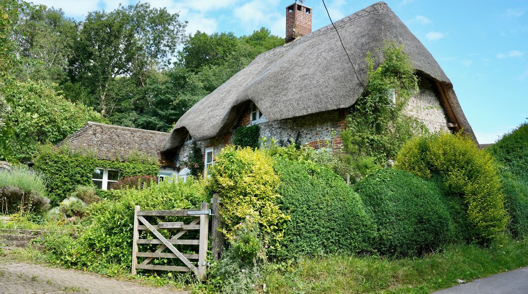 Traditional English Thatched Cottage , Wiltshire England, UK.